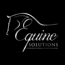 equine training solutions