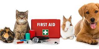pet first aid courses