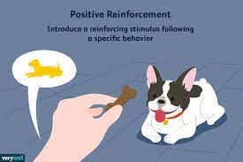 positive reinforcement