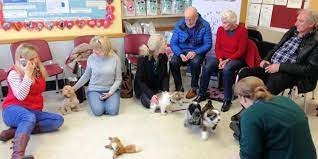 Nurturing Canine Confidence: Unleashing the Benefits of Puppy Socialisation Classes