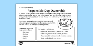 responsible dog ownership