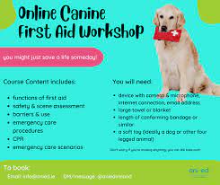 pet first aid workshops