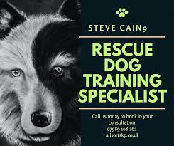 uk animal training experts
