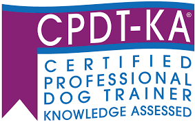 Unlocking the Potential: The Benefits of a Certified Dog Trainer