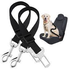 Ensuring Canine Safety: The Importance of a Dog Seat Belt for Secure Travels