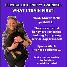 online service dog training