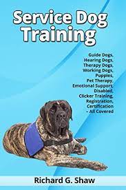 pet therapy dog training