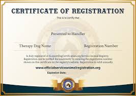 certified pet therapy dog