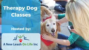 dog therapy classes near me