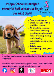 Discover Quality Puppy Obedience Training Near Me for Your Furry Companion