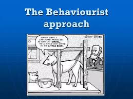 The Essential Role of a Behaviourist in Understanding and Addressing Animal Behaviour