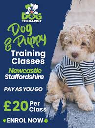 Affordable Puppy Training Near Me: Find Budget-Friendly Classes for Your Pet