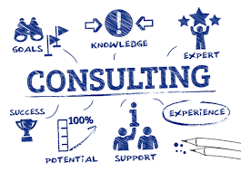 Unlocking Success: The Power of Professional Consulting Services