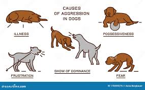 Understanding Canine Behaviour: A Guide to Dog Behaviour in the UK