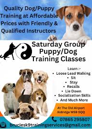 Puppy Training Near Me: Exploring Prices for Your Furry Companion
