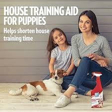 puppy house training near me