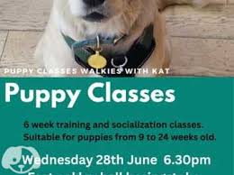 puppy training and socialization classes near me