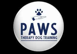 Embark on a Transformative Journey: Enrol in a Therapy Dog Course Today!