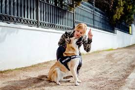 Discover the Finest Service Dog Training Near Your Location