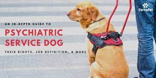 psychiatric service dog training near me