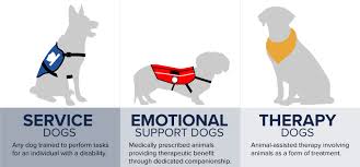 Exploring the Cost of Owning a Therapy Dog for Anxiety