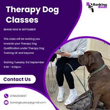 training therapy dogs near me