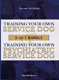 Guide to Training Your Own Psychiatric Service Dog in the UK