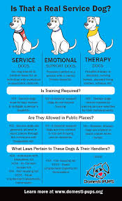 emotional support dog training cost