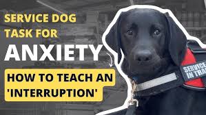 emotional support dog training for anxiety