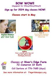 spca puppy classes