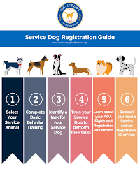 Understanding the Cost of Support Dog Training in the UK