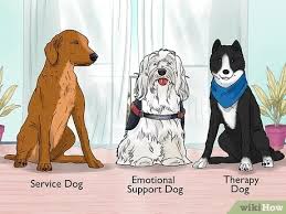 support dog training near me