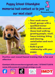 Discover Local Dog Behaviour Classes Near Me for Effective Training