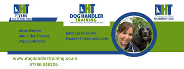 Mastering Dog Handler Training: A Guide to Effective Canine Control