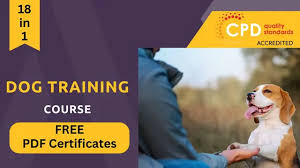 Enhance Your Puppy’s Skills with Our Online Puppy Training Course