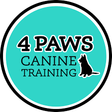 Unlocking Potential: Enhance Your Puppy’s Journey with 4 Paws Puppy Training