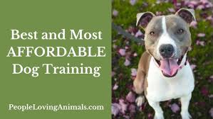 Affordable Puppy Training: Effective and Budget-Friendly Ways to Train Your New Best Friend