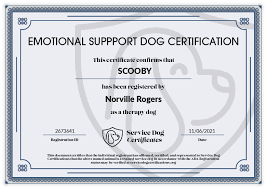 assistance dog certification