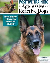 dog training for reactive dogs near me