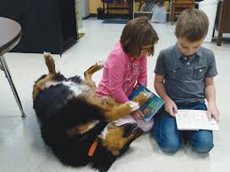 Enhancing Student Well-being: The Impact of Pet Therapy in Schools