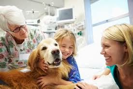 Enhancing Lives Through Pets as Therapy Training