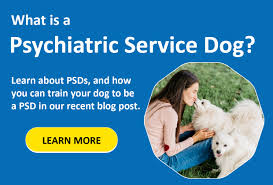 Empowering Lives Through Psychiatric Assistance Dog Training in the UK