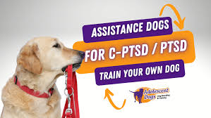 ptsd service dog training