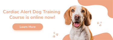 cardiac service dog training