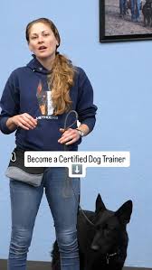 certified professional dog trainer