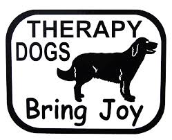 i want my dog to be a therapy dog