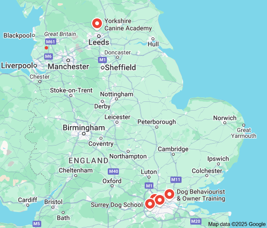 dog training classes near me cheap
