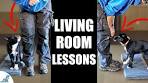 Puppy Classes: The Essential Foundation for Effective Dog Training