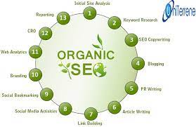Unlocking Success: The Power of an Organic SEO Agency