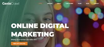 Enhance Your Online Presence with a Leading Professional SEO Services Company